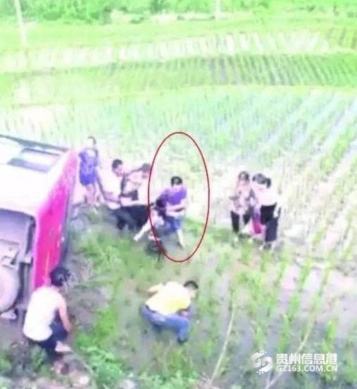 未标题 7 未标题 7