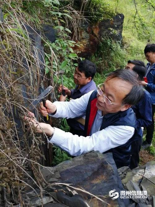 Ba84be2bcc4bde5221e0739170188eaf