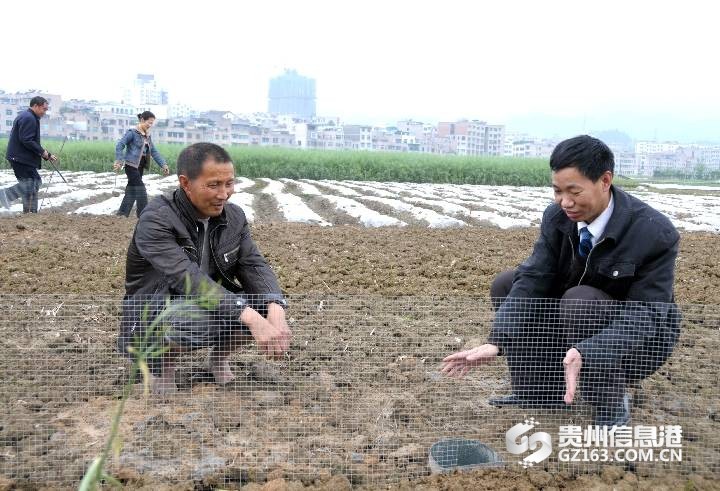 84a5a84ad604a9b8b61f26d571efd4af