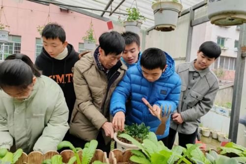 李世康：十载耕耘播撒科学种子 银发丹心润泽社区万家