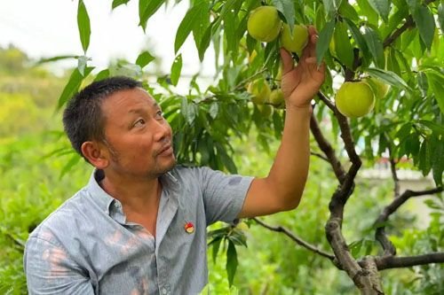 致富不忘带乡亲 助学反哺桑梓情 党员李仁贵的乡村振兴路