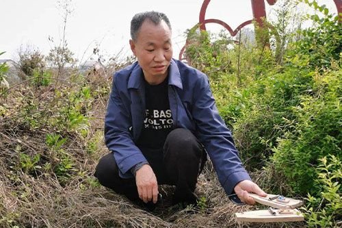 三十六载“人鼠较量”，从鼠口夺粮的“黔北守粮人”杨再学