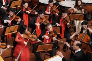 贵阳交响乐团2026新年音乐会跨年夜奏响 《森林之歌》引观众沉浸