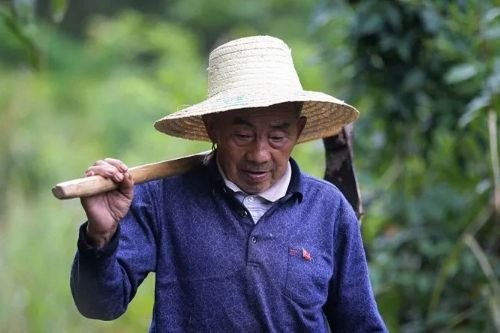 绝壁上的“当代愚公” 黄大发展现水渠中的贵州精神